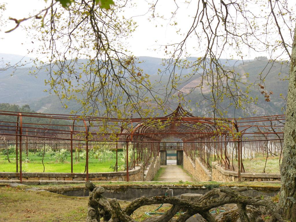 Vila Guiomar - Casa Da Eira Alvarenga Buitenkant foto